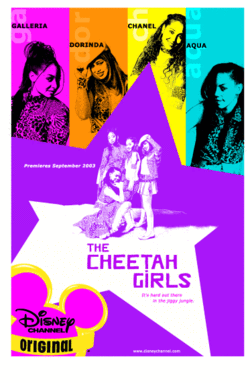 The Cheetah Girls dvd Disney Original Movie