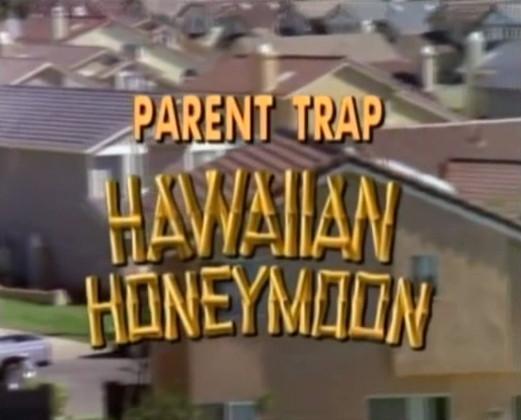 The Parent Trap IV Hawaiian Honeymoon dvd Disney Film