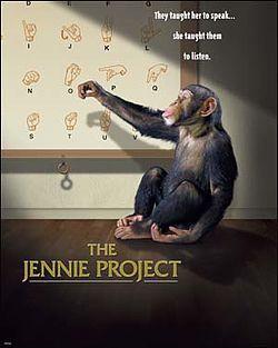 The Jennie Project  Disney dvd