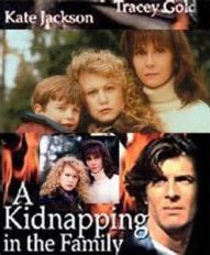 A Kidnapping in the Family Lifetime dvd